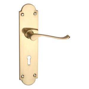 Premium Brass Door Handles - Elegant & Durable