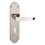 Designer Brass Door Handles for Main Doors