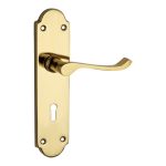 High Strength Mild Steel Door Handle for Main Doors