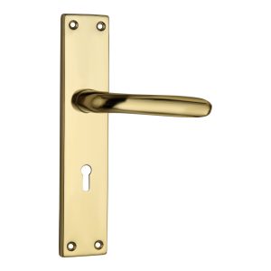 Commercial Grade Mild Steel Door Handle