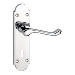 Rust-Resistant Zinc Door Handle