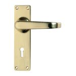 Decorative Brass Door Handles for Home & Office